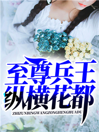 莫辰冷凝月