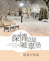 宋南歌顾北城