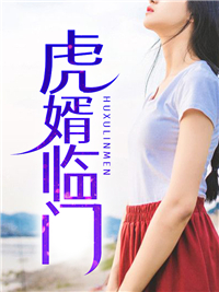 虎婿金麟唐沐雪