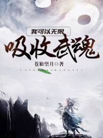 我可以无限吸收武魂叶辰