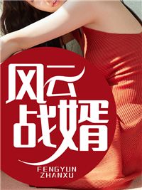 风云战婿杨风陈梦瑶