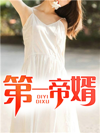 第一帝婿陈枫秦紫莹