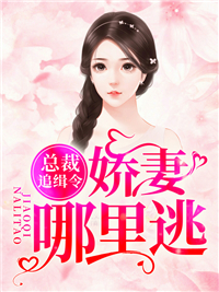 总裁追缉令夏冬百里翰