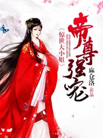 惊世大小姐容凤卿夜宸华