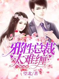 邪性总裁太难缠乔诗语宫洺