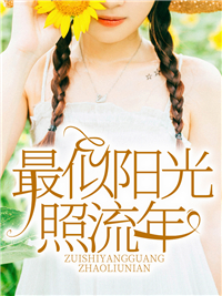 最似阳光照流年顾暖陆霆琛