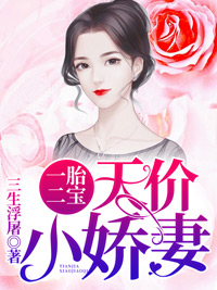 天价小娇妻季司凉闵暖