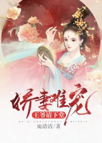 沈清辞霍九沉