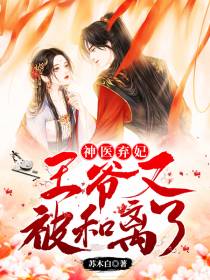 神医弃妃穆玥璃北宫宸