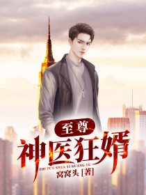 至尊神医狂婿陈风王馨