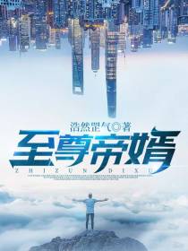 苏宸叶轻柔至尊帝婿