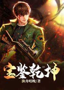 宝鉴乾坤姜子枫顾璃