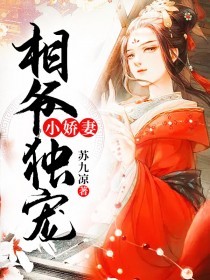 荣凌岚傅锦离