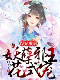 君清璃慕容清欢