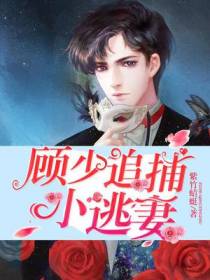 豪门纠爱：顾少追捕小逃妻