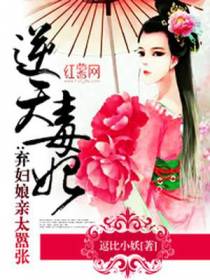 苏芒南宫修