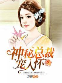 神秘总裁宠入怀