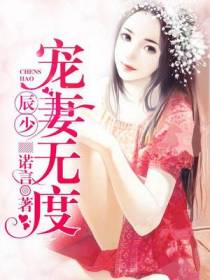 辰少宠妻无度