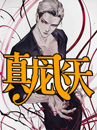 真龙飞天秦莫