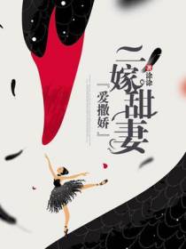 向晚贺斯启