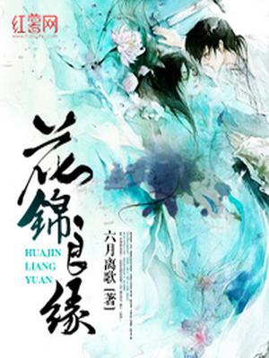 花锦良缘叶宸白擎夜