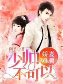 娇妻难驯：少帅，不可以！