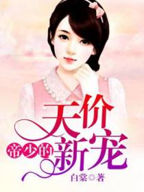 帝少的天价新宠