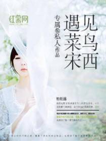 遇见菜鸟宋西