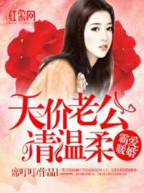 天价老公请温柔