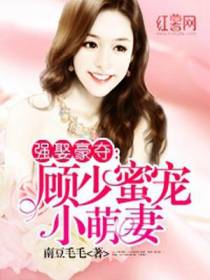 顾少蜜宠小萌妻