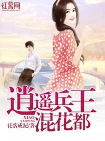 逍遥兵王混花都