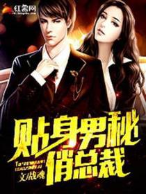 贴身男秘俏总裁卫小宝