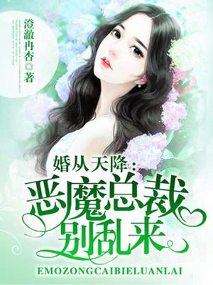 恶魔总裁别乱来