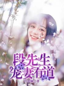 段先生宠妻有道