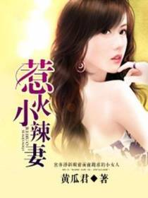 惹火小辣妻