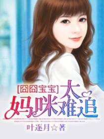 囧囧宝宝：妈咪太难追