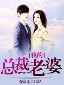 我的总裁老婆秦枫