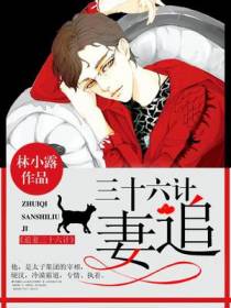 追妻三十六计