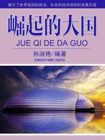 崛起的大国