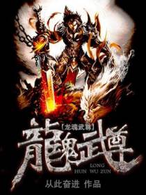 龙魂武尊段辰