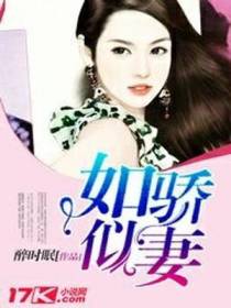 叶婴宁宠天戈