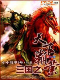 三国之天下霸业罗阳