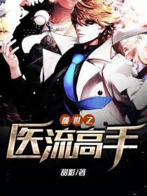 都市之医流高手
