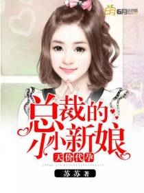 天价代孕：总裁的小小新娘