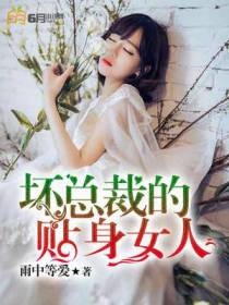 坏总裁的贴身女人