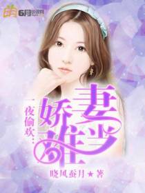 一夜偷欢：娇妻难当