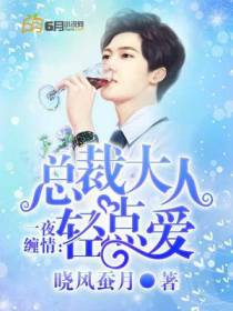 一夜缠情：总裁大人轻点爱