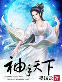 袖手天下
