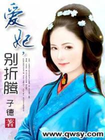 爱妃，别折腾