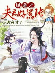 凤途之夫君好嚣张